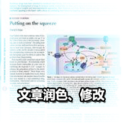 SCI论文润色与修改