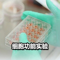细胞功能实验