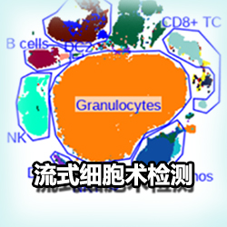 流式细胞术检测